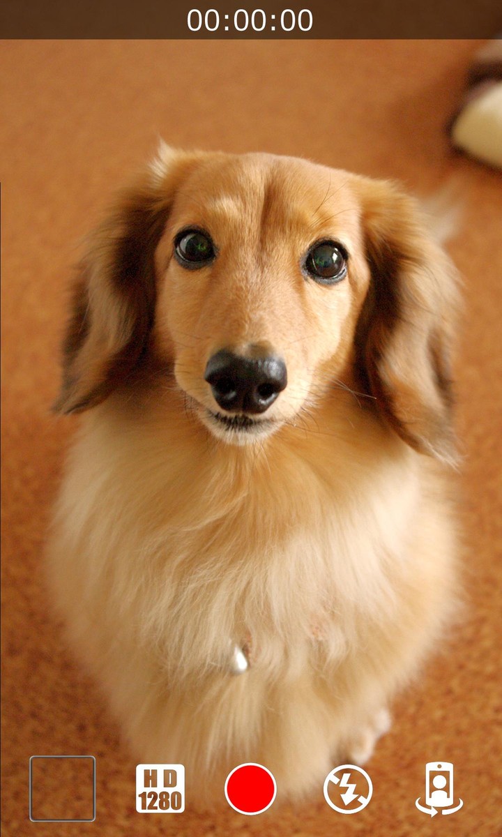 من سيربح المليون الناطقة screenshot image 4_Popularmodapk.com