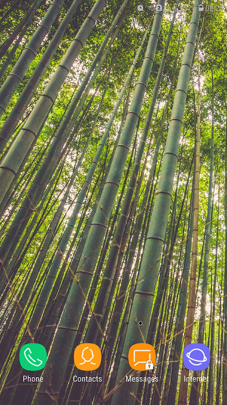 Forest Wallpaper screenshot image 23_Popularmodapk.com