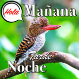 Spanish Good Morning to Night9.10.08.9_Popularmodapk.com