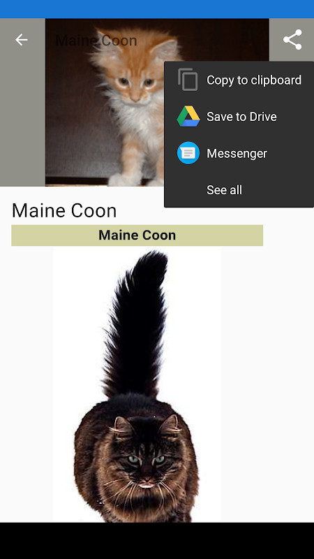 Couples Photos Design Suits screenshot image 9_Popularmodapk.com