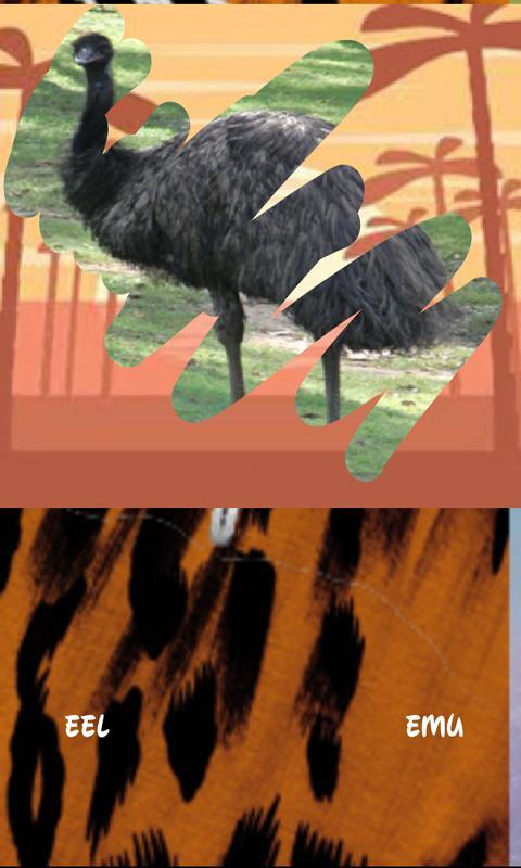 Animals , guess which one screenshot image 5_Popularmodapk.com