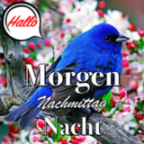 German Morning & Night Wishes9.10.10.4_Popularmodapk.com