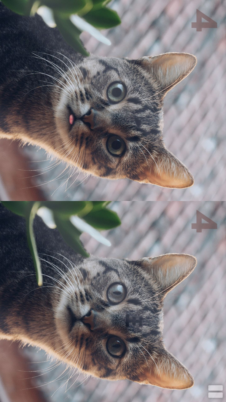 Looking for difference screenshot image 1_Popularmodapk.com