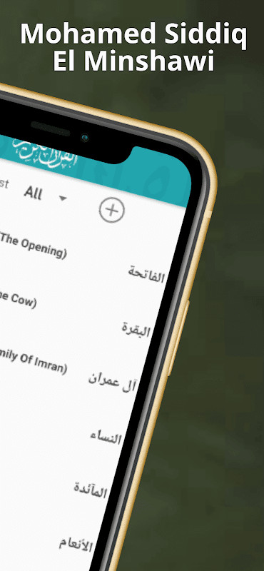 Menshawy Holy Quran Offline screenshot image 21_Popularmodapk.com