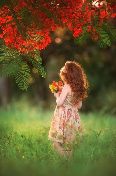 Spring Wallpapers screenshot image 9_Popularmodapk.com