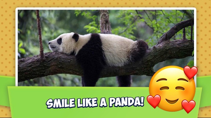 Sokodice(Unlock levels) screenshot image 5_Popularmodapk.com