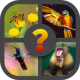 Guess The Animals8.3.4z_Popularmodapk.com