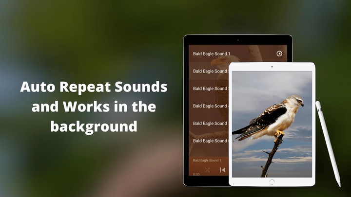 Bald Eagle Sounds screenshot image 5_Popularmodapk.com