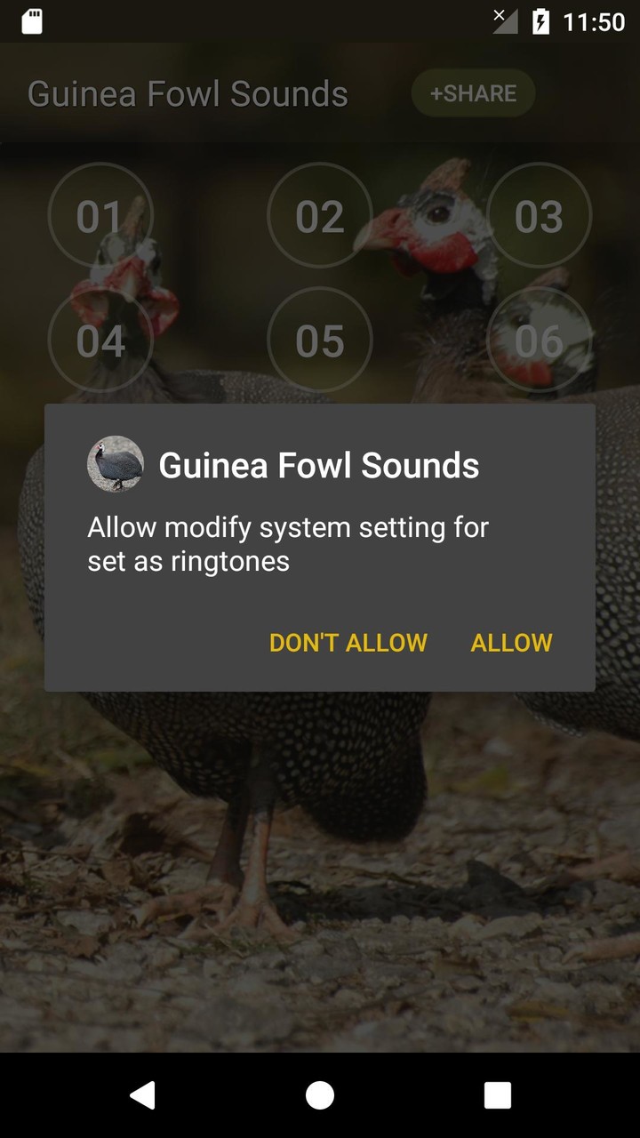 Guineafowl Sounds & Calls screenshot image 11_Popularmodapk.com