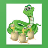 Montessori Zoology Memory1.0.29_Popularmodapk.com