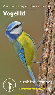 Pikkit: Sports Bet Tracker screenshot image 6_Popularmodapk.com