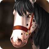 照顾马儿们破解版（天使汉化）<span>(mod)</span>1.7.6.148_Popularmodapk.com
