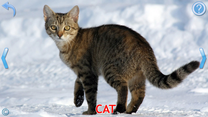 Rise of Elves screenshot image 2_Popularmodapk.com