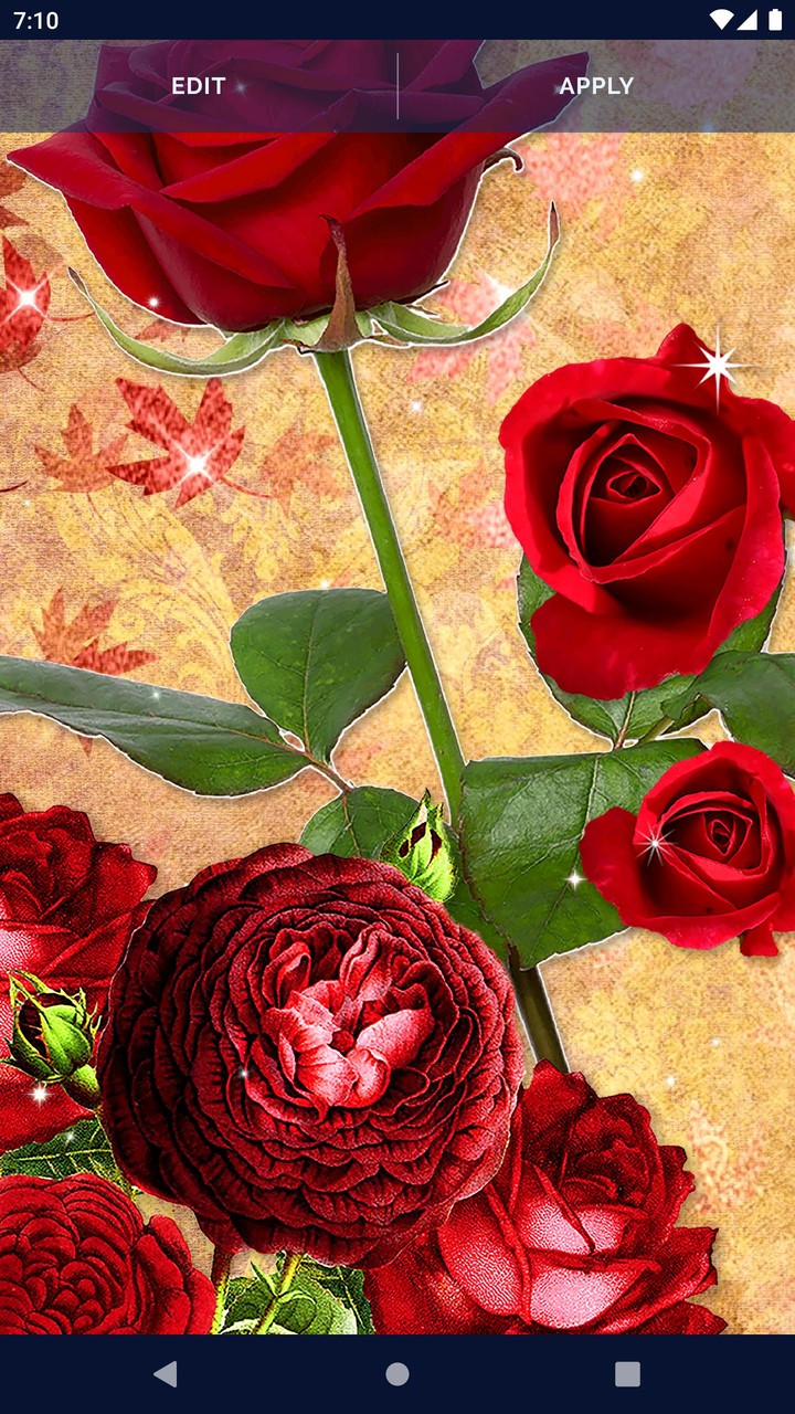3D Red Rose Live Wallpaper screenshot image 5_Popularmodapk.com
