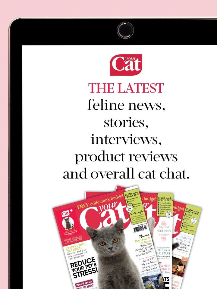 Your Cat Magazine screenshot image 11_Popularmodapk.com