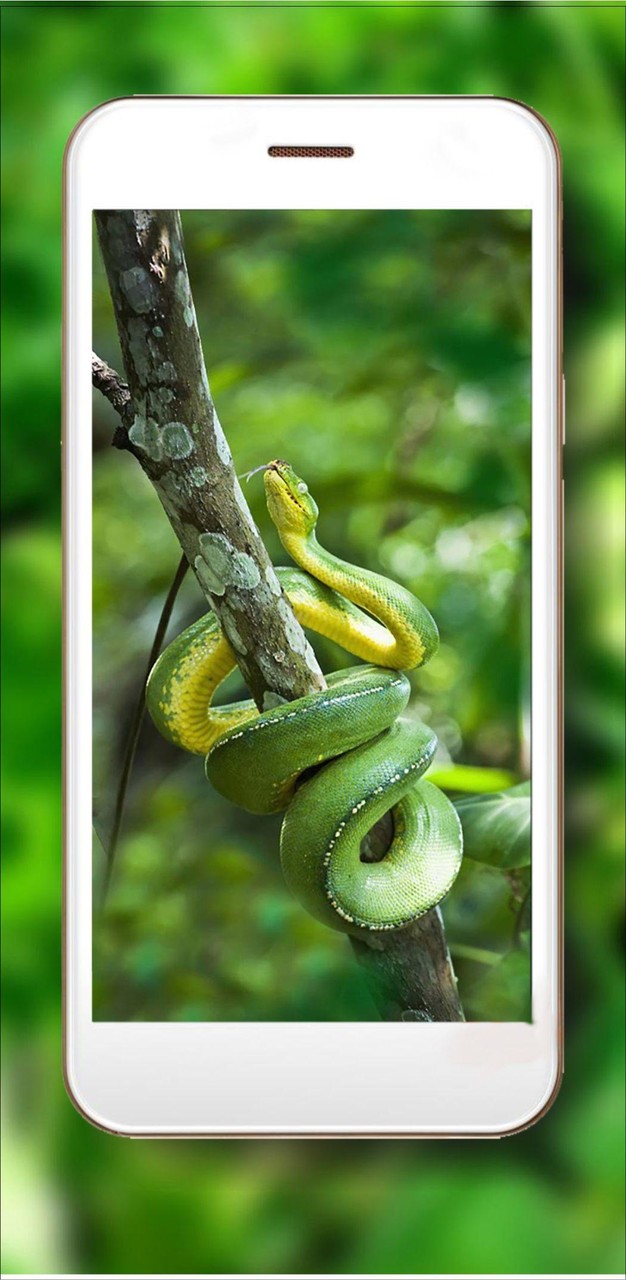 Snakes Jungles HD screenshot image 10_Popularmodapk.com