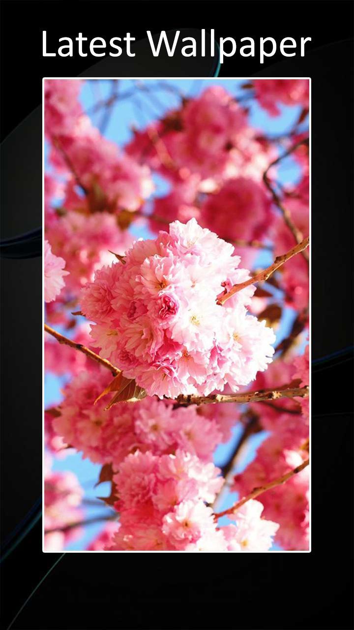 Theme for Huawei mate 30 screenshot image 3_Popularmodapk.com