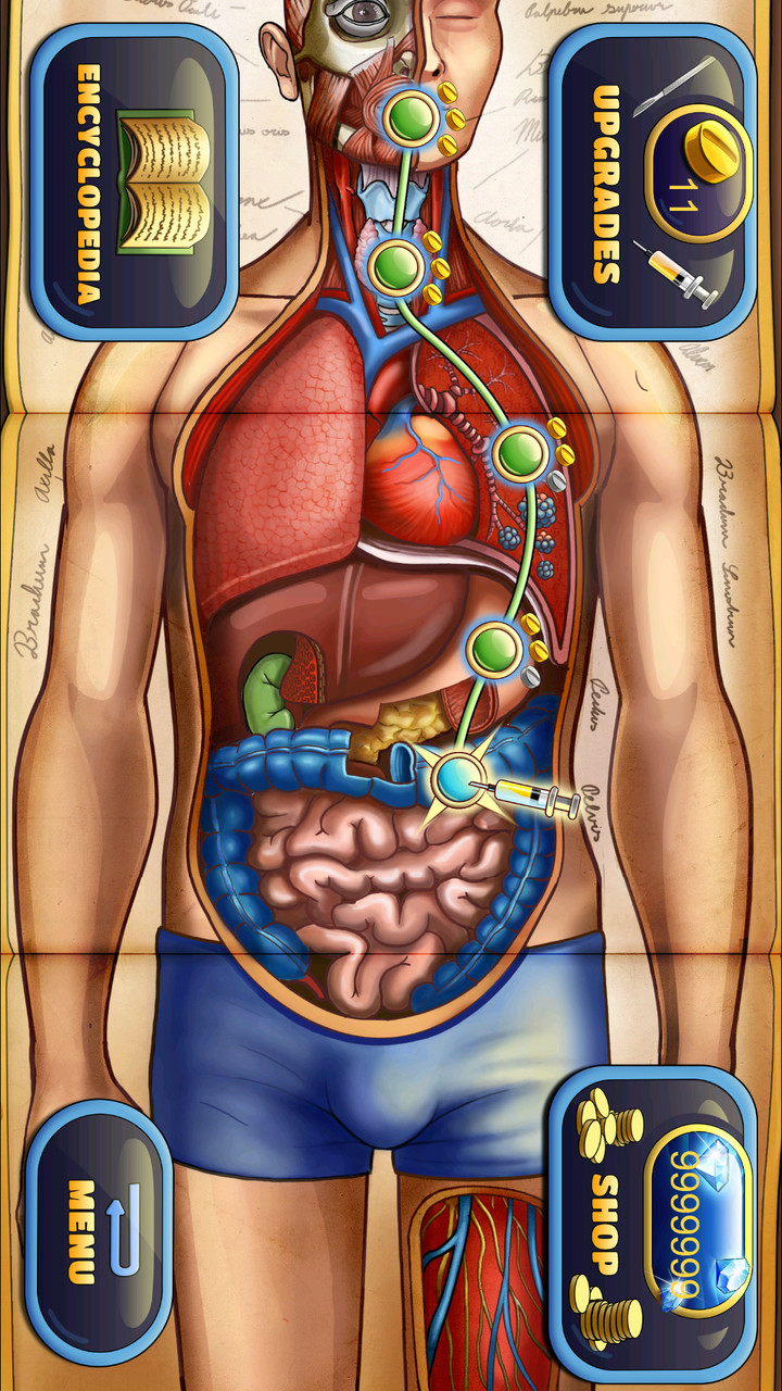 人体保卫战破解版<span>(mod)</span> screenshot image 1_Popularmodapk.com