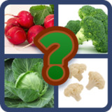 Descopera Cuvantul10.6.1_Popularmodapk.com