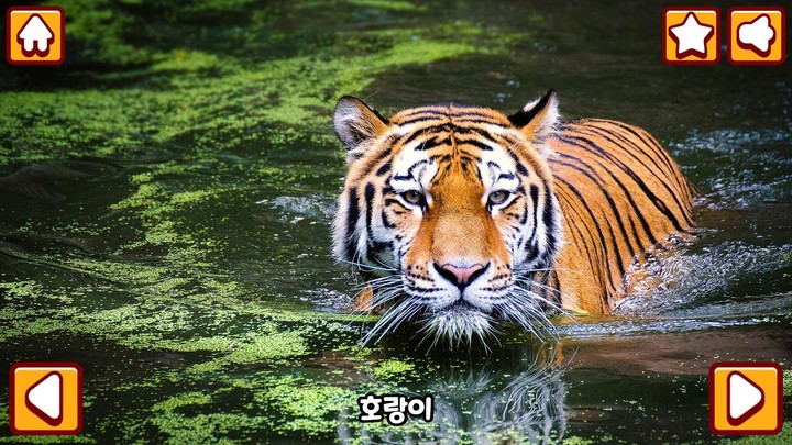 Animal friends in my hand screenshot image 4_Popularmodapk.com