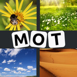 4 Images 1 Mot 202310_Popularmodapk.com