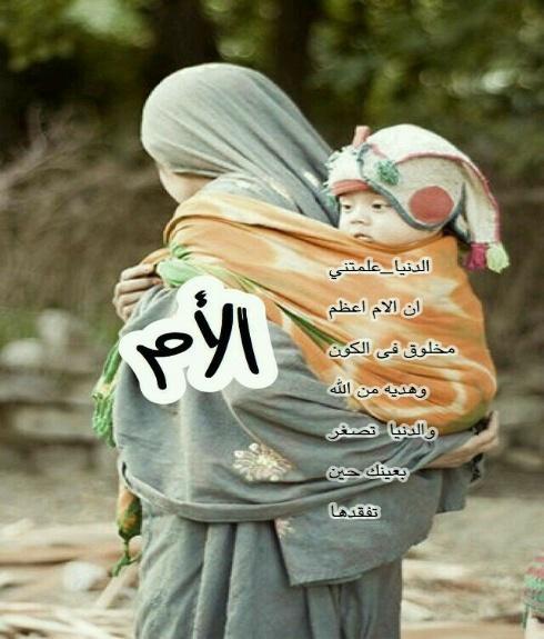 News 9 Weather screenshot image 4_Popularmodapk.com