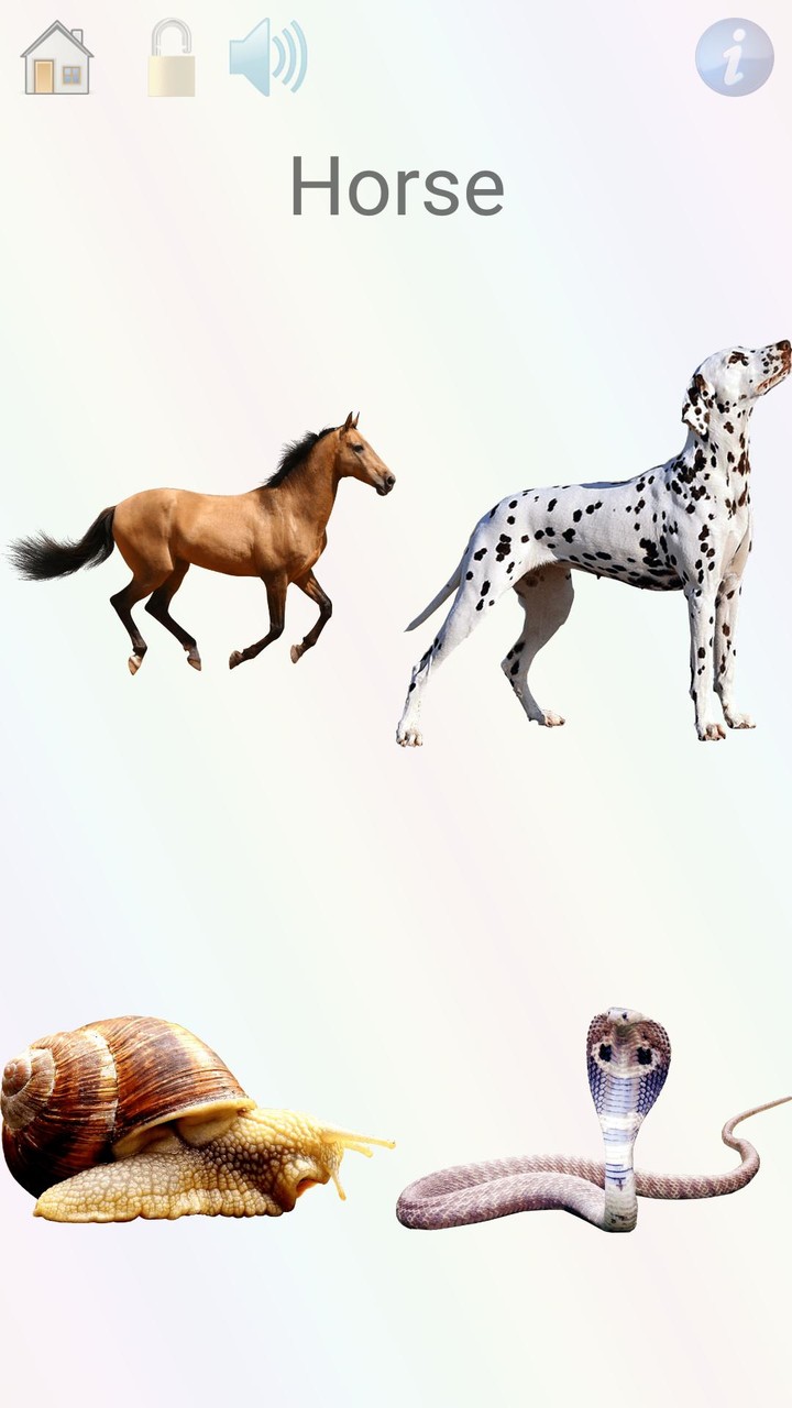 Animals, games, curiosities screenshot image 2_Popularmodapk.com