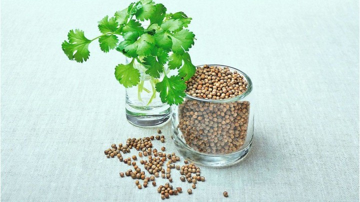 Coriander Benefits screenshot image 19_Popularmodapk.com