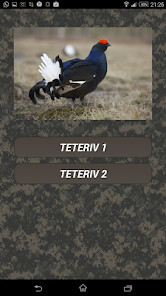 Jogos de Motos - Brasileiras screenshot image 5_Popularmodapk.com