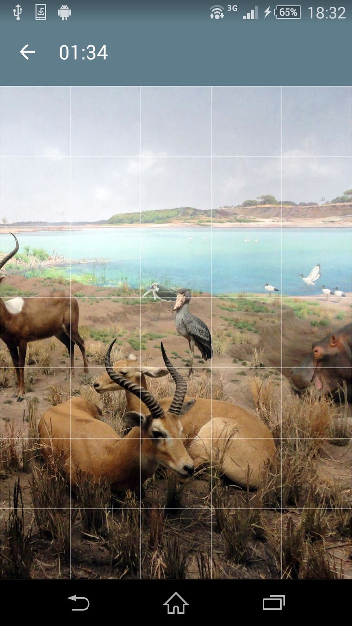 Jigsaw Puzzle: Animals screenshot image 4_Popularmodapk.com