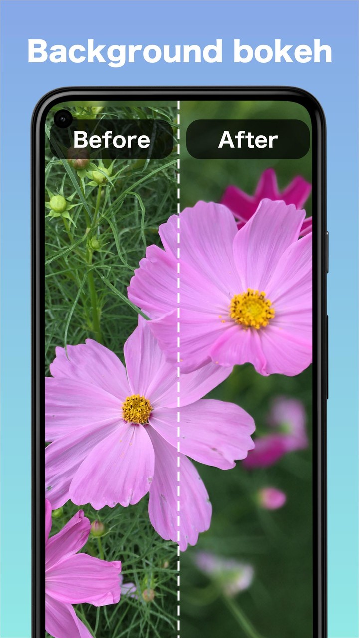 Falper SR - Enhance Images screenshot image 3_Popularmodapk.com
