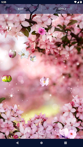 Cherry Blossom Live Wallpaper screenshot image 4_Popularmodapk.com