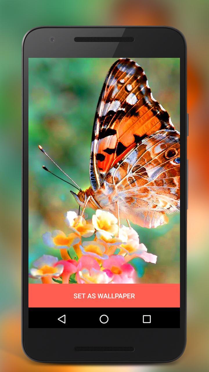 Butterfly Live Lock Screen screenshot image 5_Popularmodapk.com