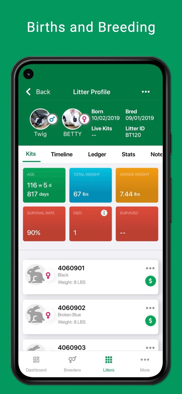 Everbreed - Rabbit Records screenshot image 10_Popularmodapk.com