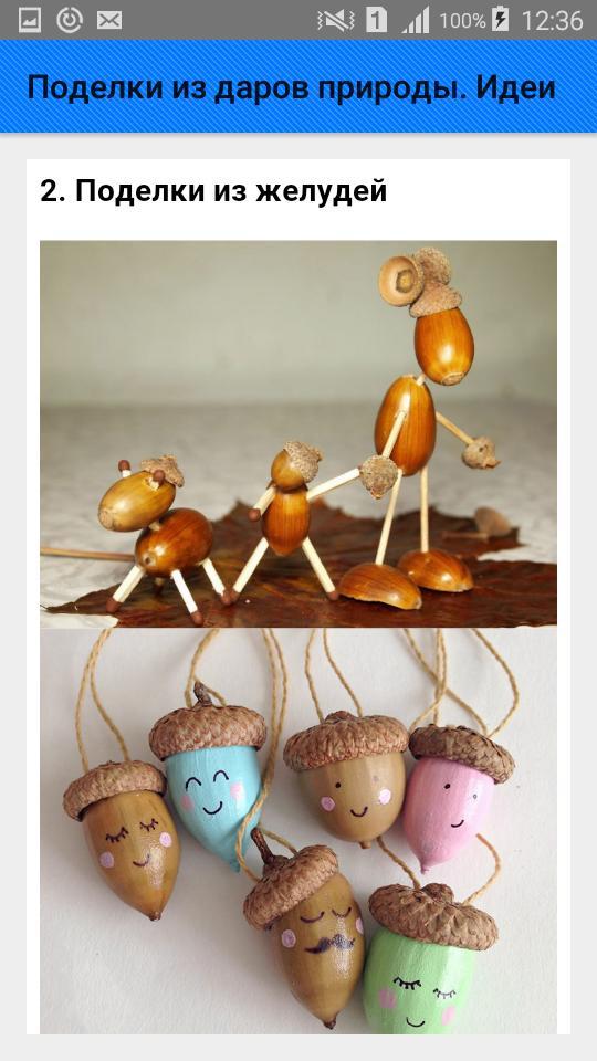 Поделки из даров природы. Идеи screenshot image 3_Popularmodapk.com