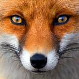 Baby Puzzles6.22_04_2023_Popularmodapk.com