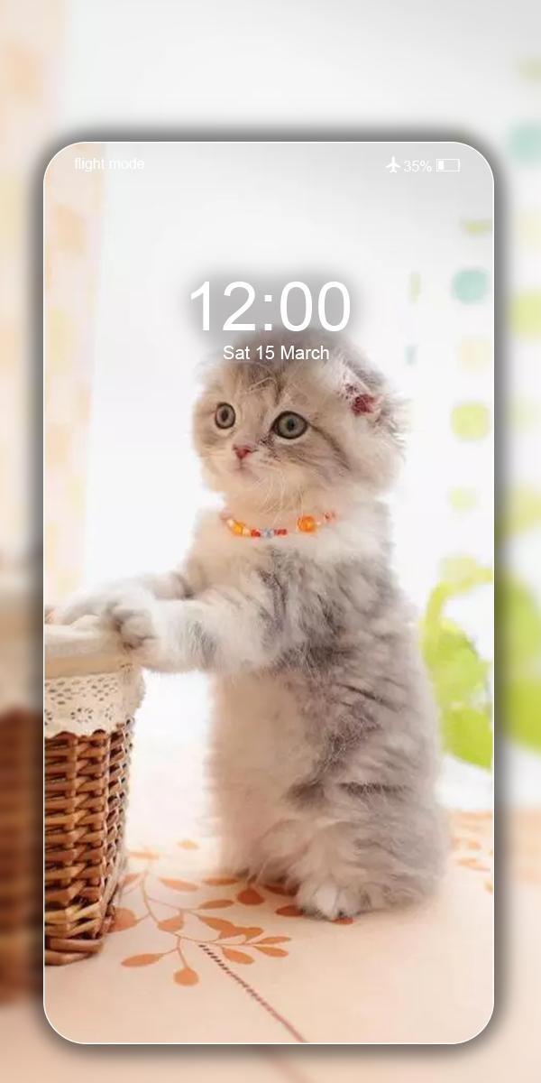 Cute Cat Wallpaper Live HD screenshot image 8_Popularmodapk.com