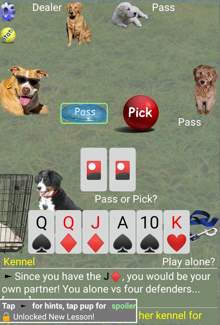 K9 Sheepshead (Schafkopf) screenshot image 2_Popularmodapk.com