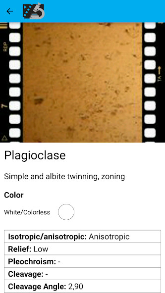 Betting Tips - Analysis AI screenshot image 5_Popularmodapk.com