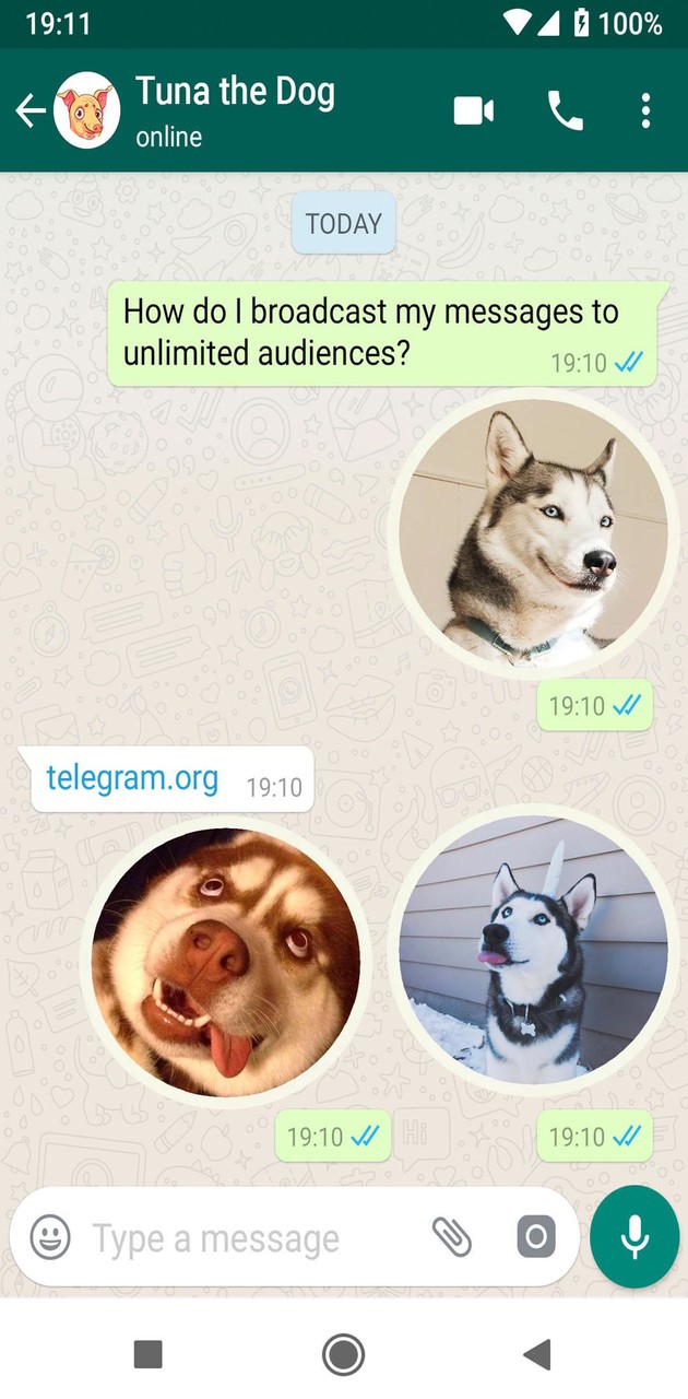 Cute Husky Stickers WAStickers screenshot image 8_Popularmodapk.com
