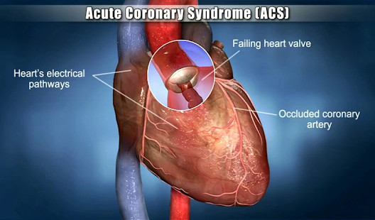 命運好好玩 華人最大命理商品網站 screenshot image 7_Popularmodapk.com