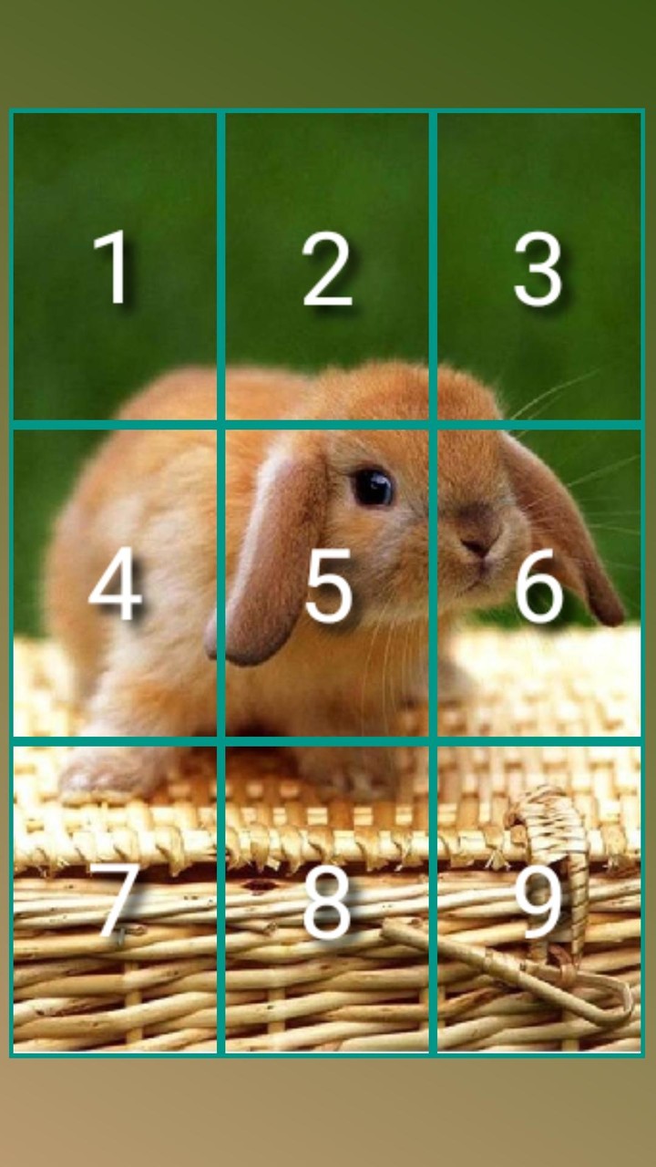 Ball Stacking screenshot image 2_Popularmodapk.com