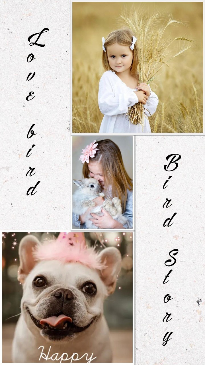 Story Maker-Story Editor Insta screenshot image 9_Popularmodapk.com