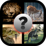 Guess the word 4pic 1 word10.5.0z_Popularmodapk.com
