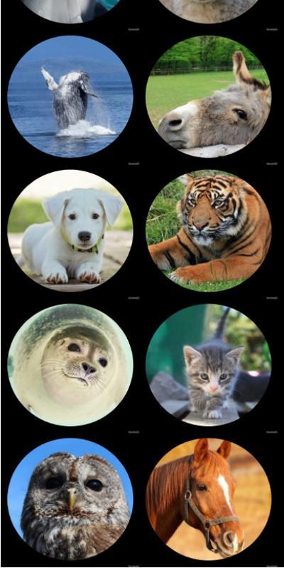 The Strongest parking(Trial Version) screenshot image 2_Popularmodapk.com