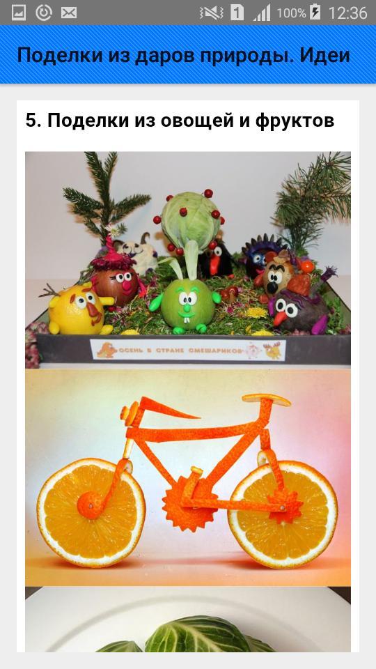 Поделки из даров природы. Идеи screenshot image 6_Popularmodapk.com