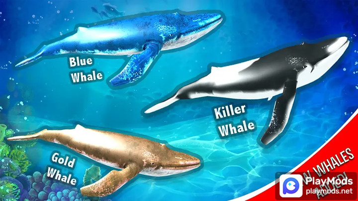 Blue Whale Simulator - Game<span>(Unlimited Resources)</span> screenshot image 2_Popularmodapk.com