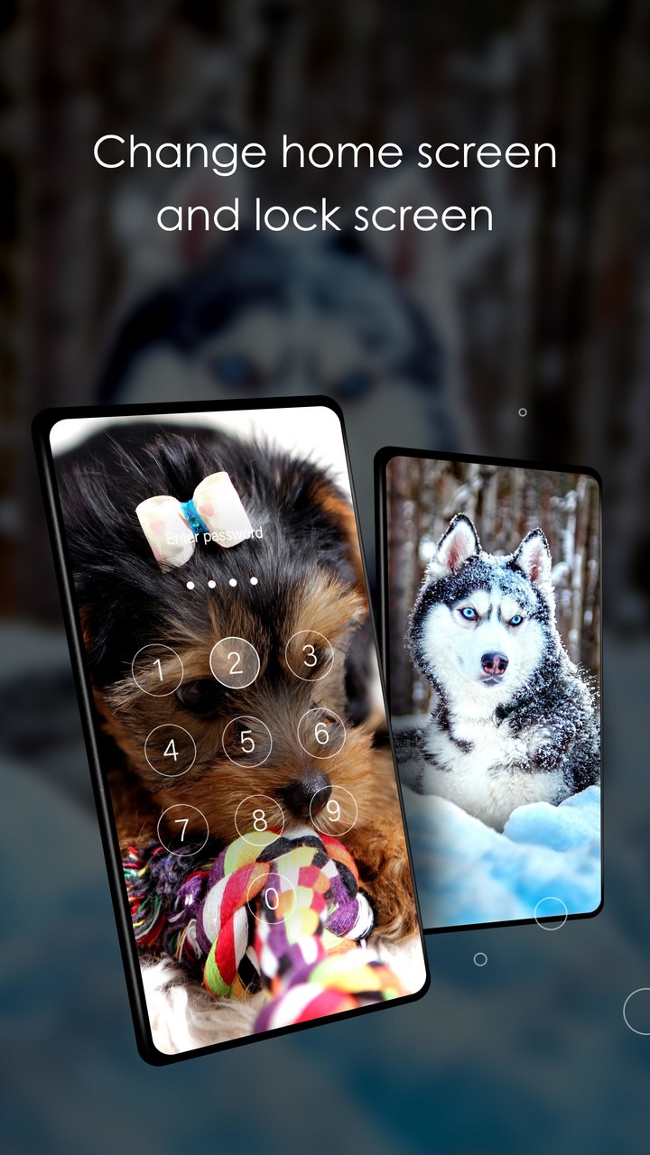 Wallpapers 4K with dogs screenshot image 2_Popularmodapk.com