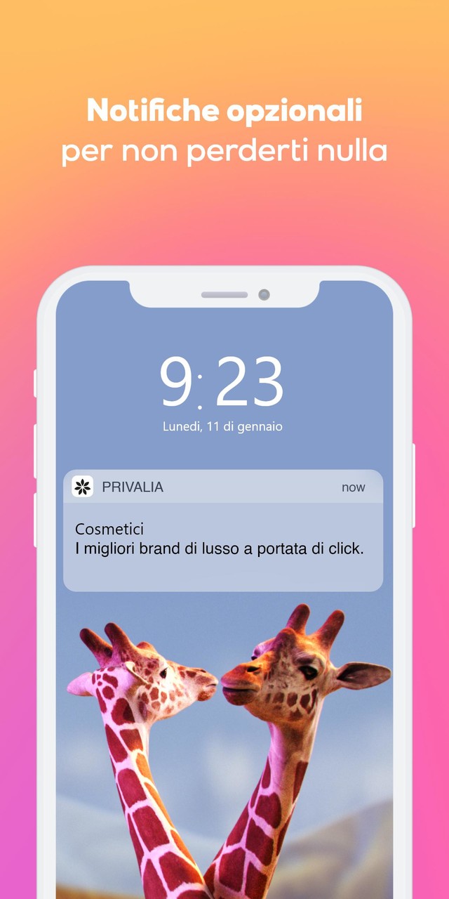 Privalia Shopping screenshot image 10_Popularmodapk.com