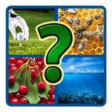 4 картинки 1 слово2.230819-30_Popularmodapk.com